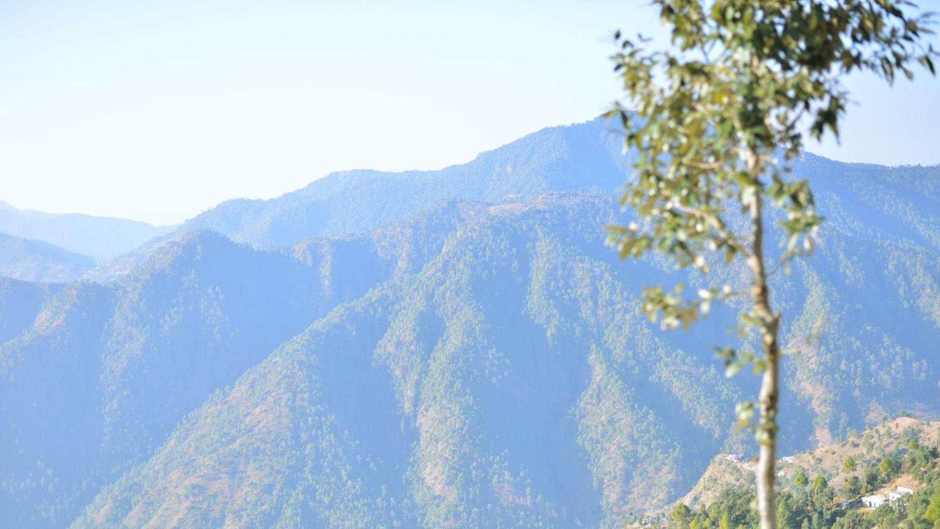 Haut Monde King'S Paradise Resort Kanatal Εξωτερικό φωτογραφία