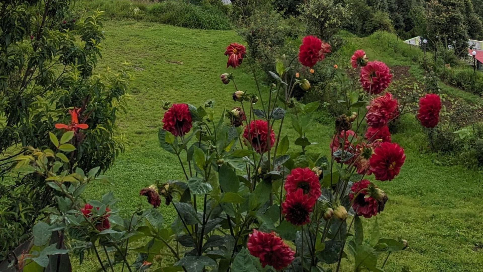 Haut Monde King'S Paradise Resort Kanatal Εξωτερικό φωτογραφία