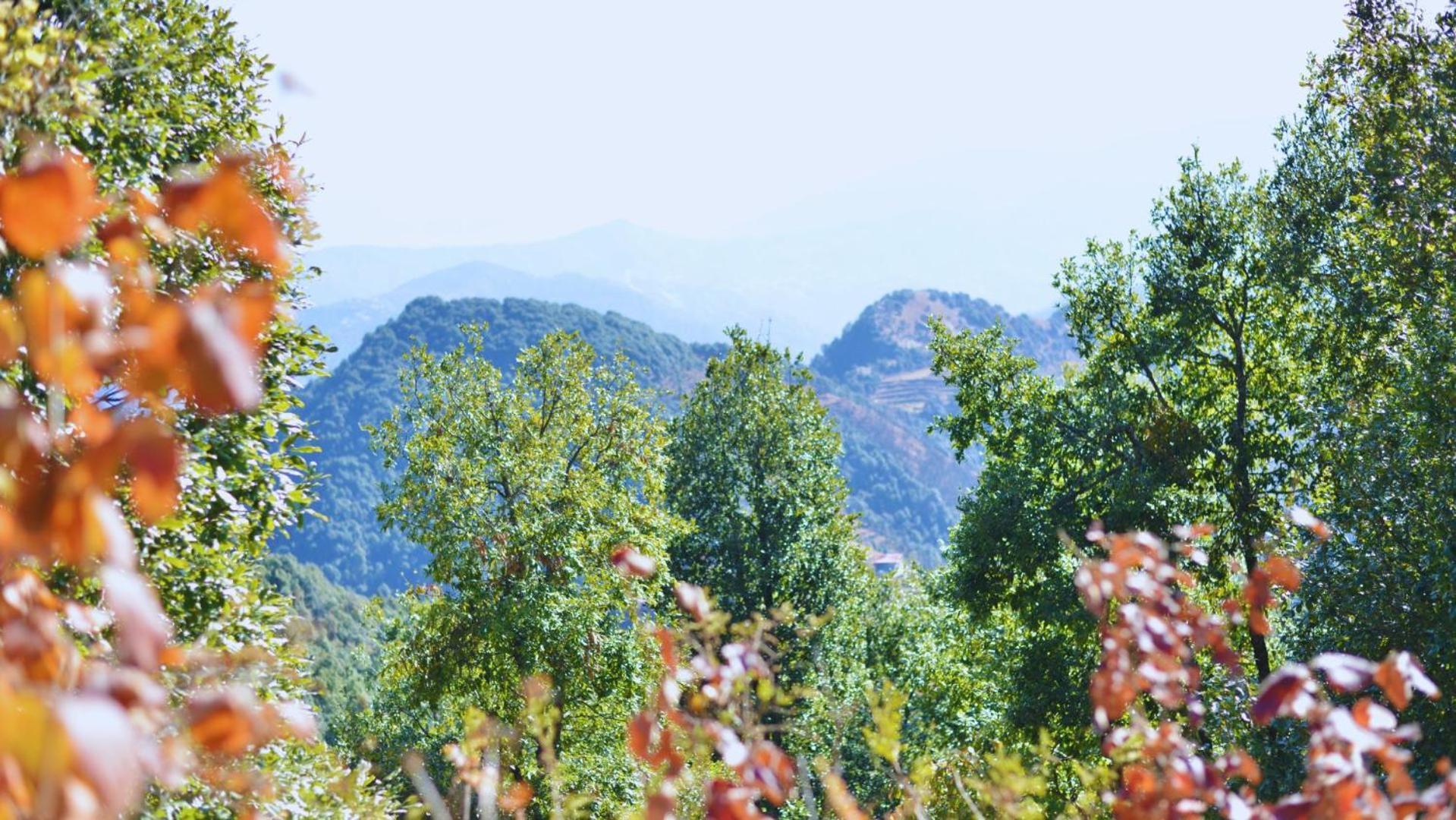 Haut Monde King'S Paradise Resort Kanatal Εξωτερικό φωτογραφία