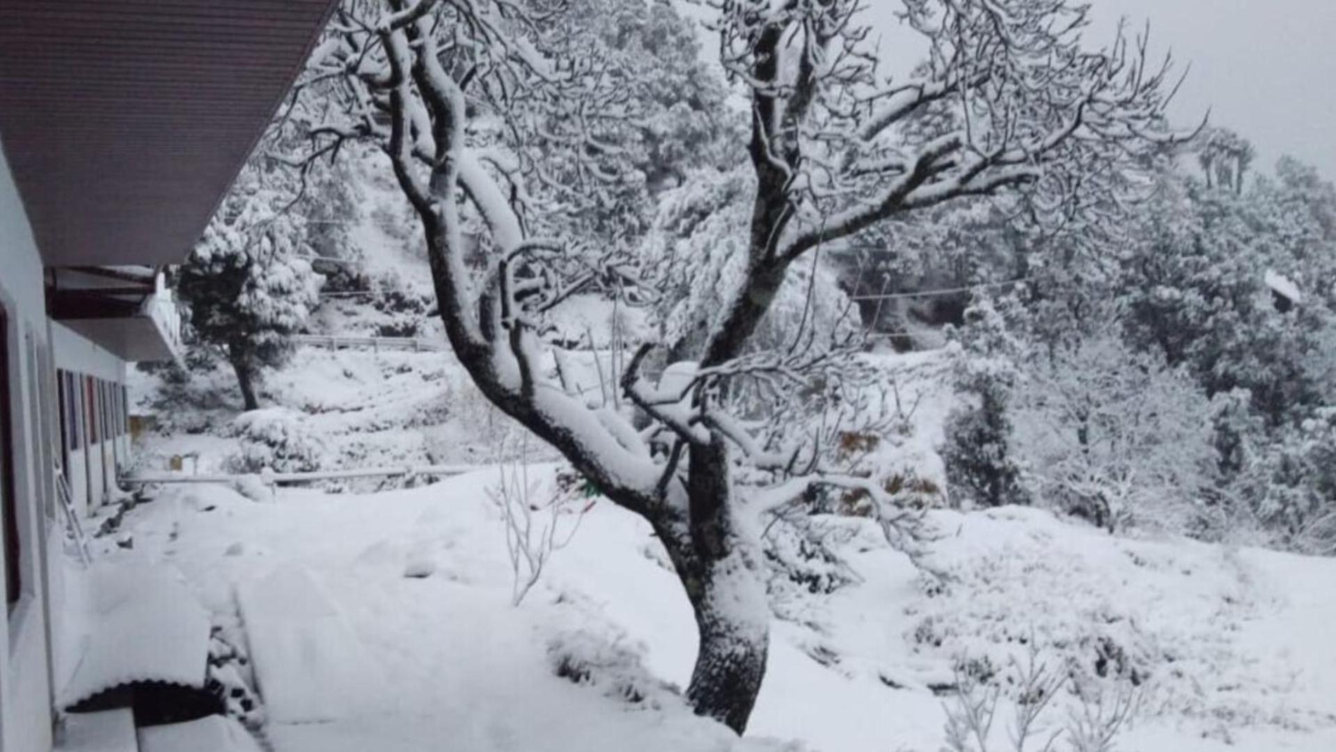 Haut Monde King'S Paradise Resort Kanatal Εξωτερικό φωτογραφία