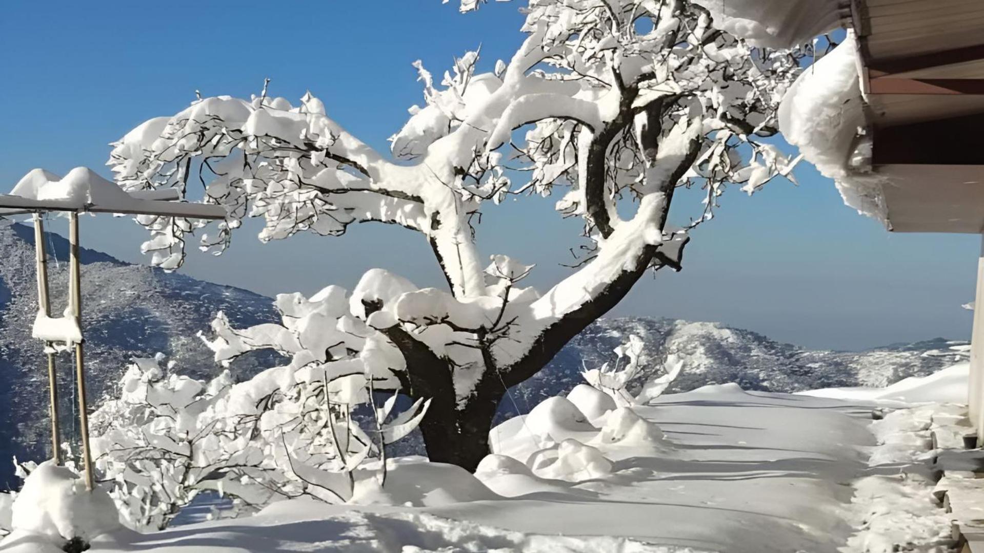 Haut Monde King'S Paradise Resort Kanatal Εξωτερικό φωτογραφία