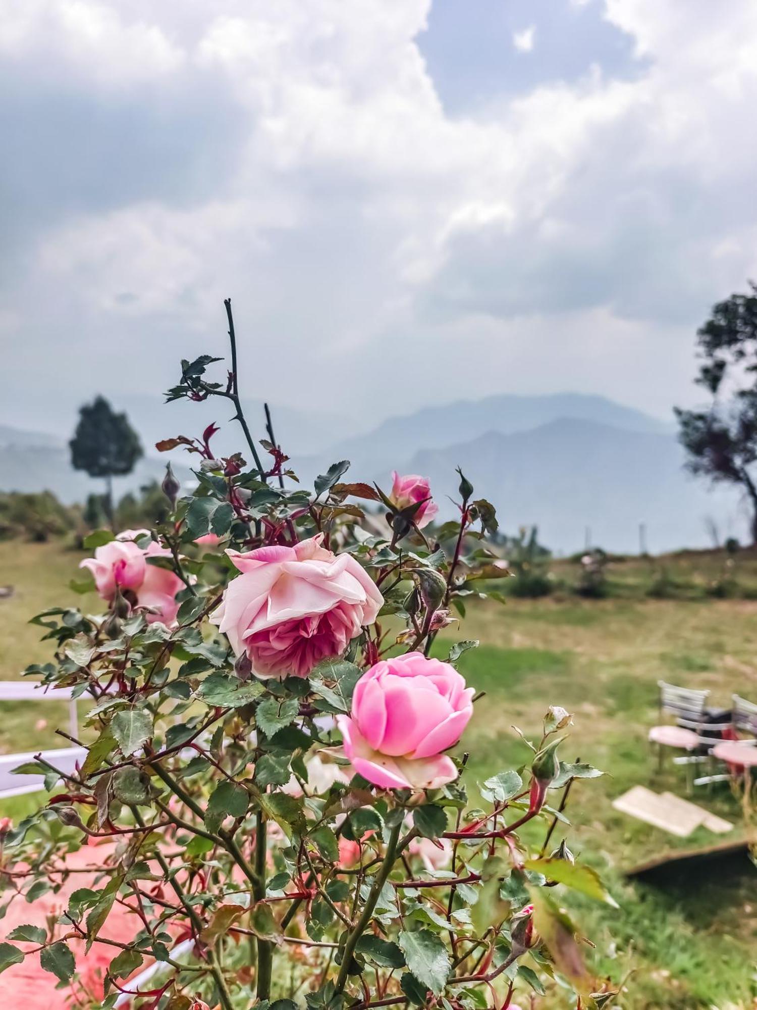 Haut Monde King'S Paradise Resort Kanatal Εξωτερικό φωτογραφία